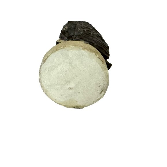 Hand Painted Minature Resin Owl Perched on Books Figurine 2.75" Collectible - Picture 3 of 6